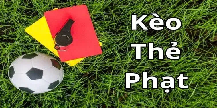 Tìm Hiểu Hướng Dẫn Cách Chơi Kèo Thẻ Phạt Trên Tylecacuoc.me 1 Tìm Hiểu Hướng Dẫn Cách Chơi Kèo Thẻ Phạt Trên Tylecacuoc.me