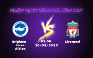Nhận định Soi kèo Brighton Hove Albion vs Liverpool Cơ hội nào cho đội đầu bảng 5 brighton hove albion liverpool 20 05 ngoai hang anh