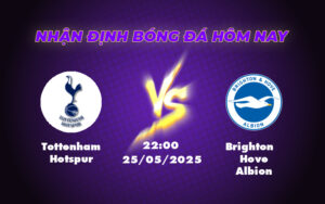 Nhận định Tottenham Hotspur vs Brighton Hove Albion Liệu Gà trống có gây bất ngờ 17 tottenham hotspur brighton hove albion 25 05 ngoai hang anh