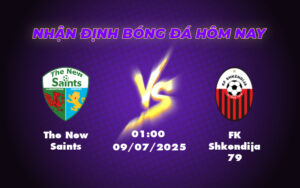 Nhận định soi kèo trận đấu The New Saints vs FK Shkendija 79 So tài cân tài cân sức tại vòng sơ loại C1 3 the new saints fk shkendija 79 09 07 c1